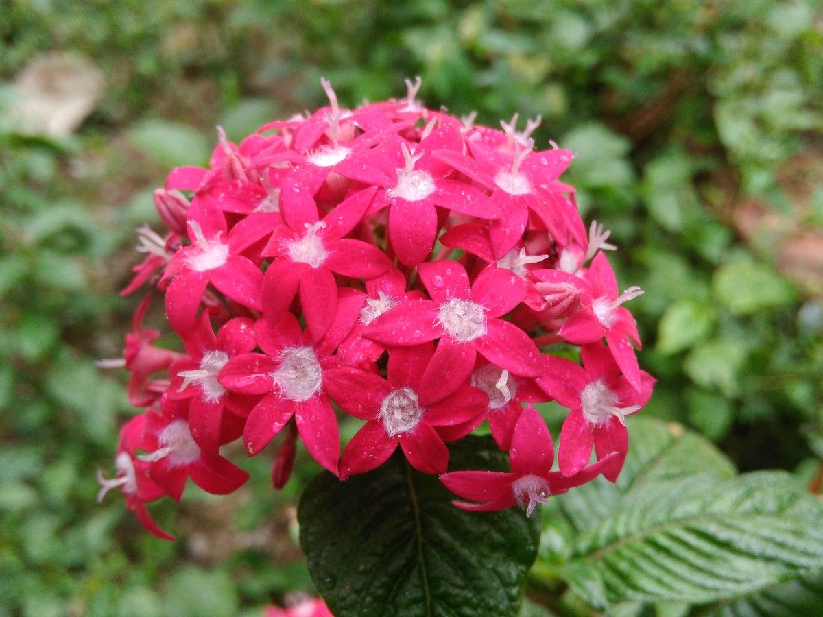 robinsonesnaider_official | miPic