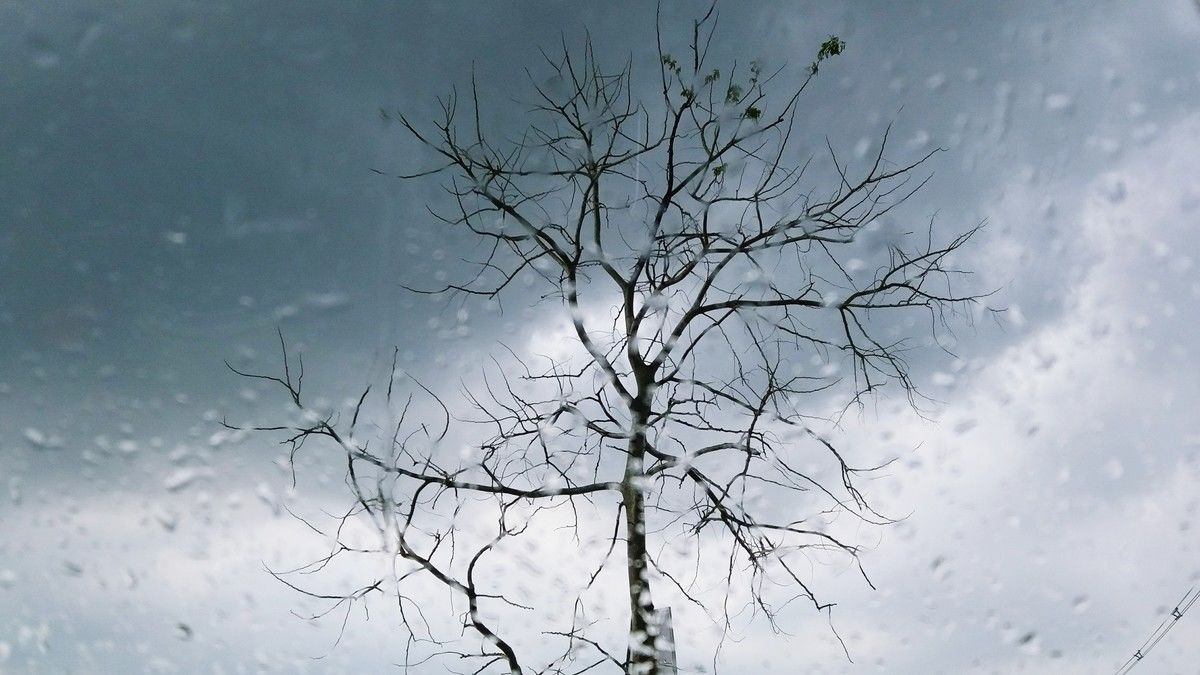 TongpoonKogpo Prints from €20.00 | miPic