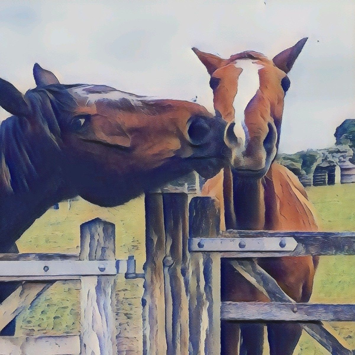 Marisa Bay (marisabayphotography) | miPic