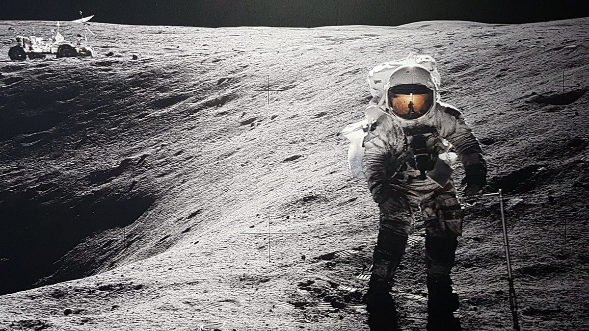 JAS2225 (JAS2225) | miPic